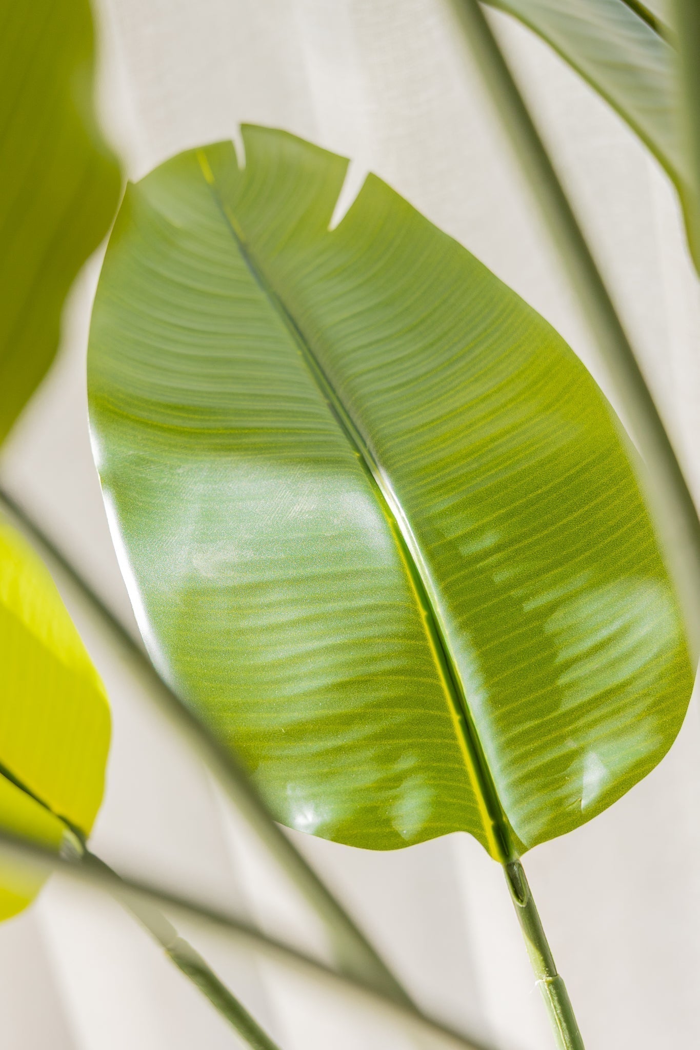 Kunstplant Strelitzia 180 cm