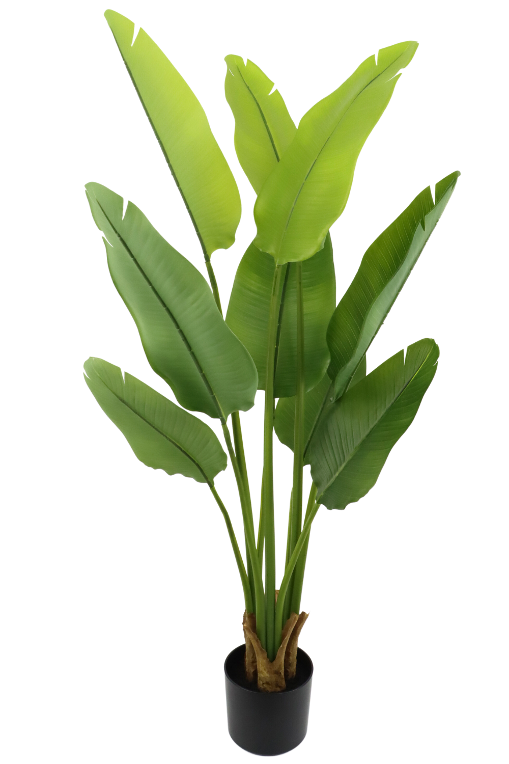 Kunstplant Strelitzia 120 cm
